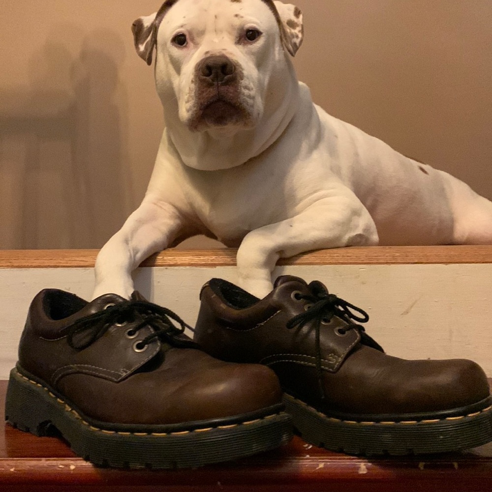 Doc marten’s vintage brown men’s low tops